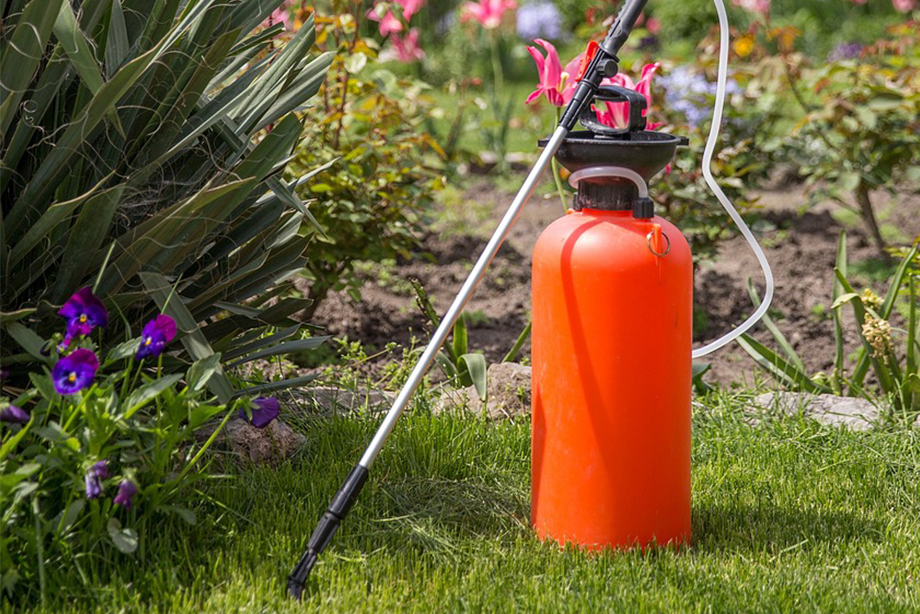 Biostimulans zur Verbesserung der Qualität und Produktion von Pollen sowie zur Förderung der Blüte.