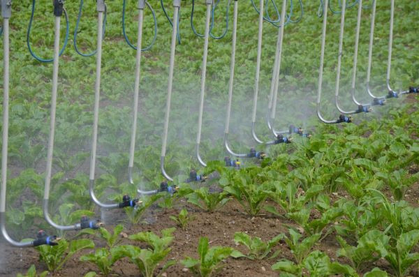 Produit spécial pour baisser le valeur du pH et pour améliorer la qualité de la bouillie. 