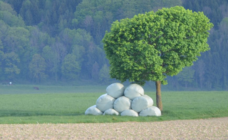 Pflanzenschutz im Bereich Futterkonservierung